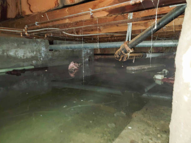 Best Basement water damage restoration  in Lakeview, NY
