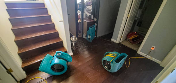 Best Commercial water damage restoration  in Lakeview, NY