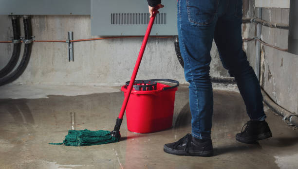 Best Water damage contractors near me  in Lakeview, NY