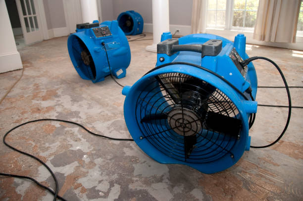 Best Fire Damage Restoration  in Lakeview, NY