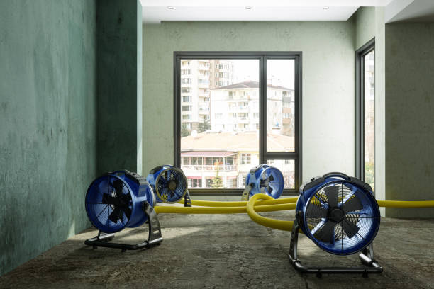  Lakeview, NY Water damage restoration Pros