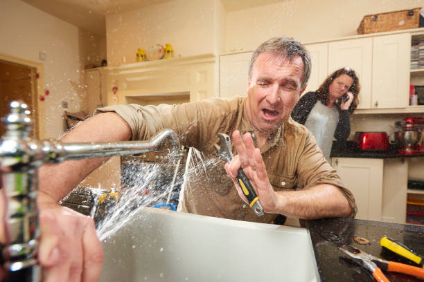 Best Water damage cleanup near me  in Lakeview, NY